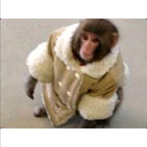 Meet your Posher, M f